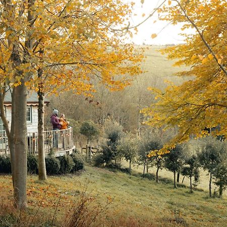 Cottage Orne Long Bredy Exteriör bild