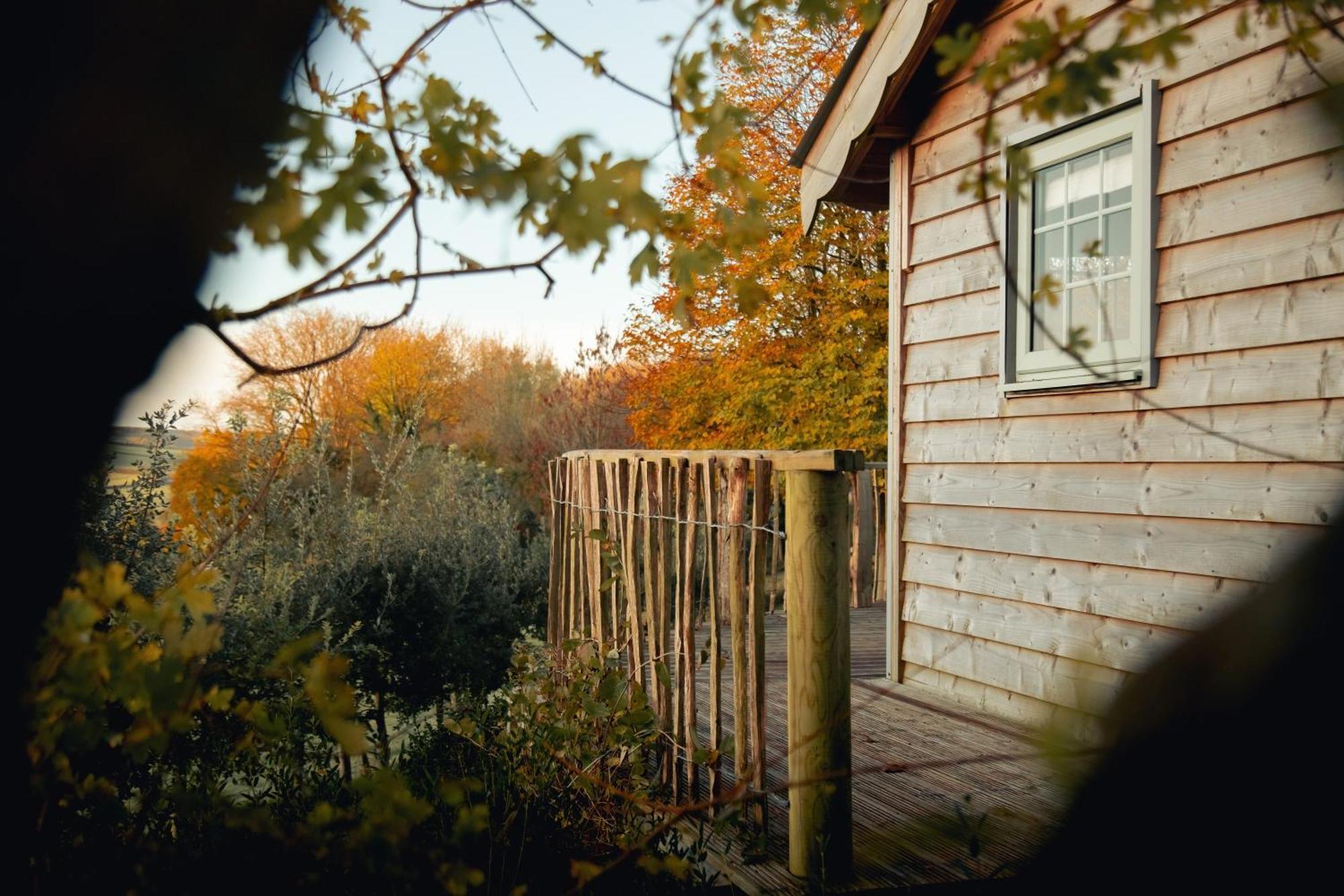 Cottage Orne Long Bredy Exteriör bild