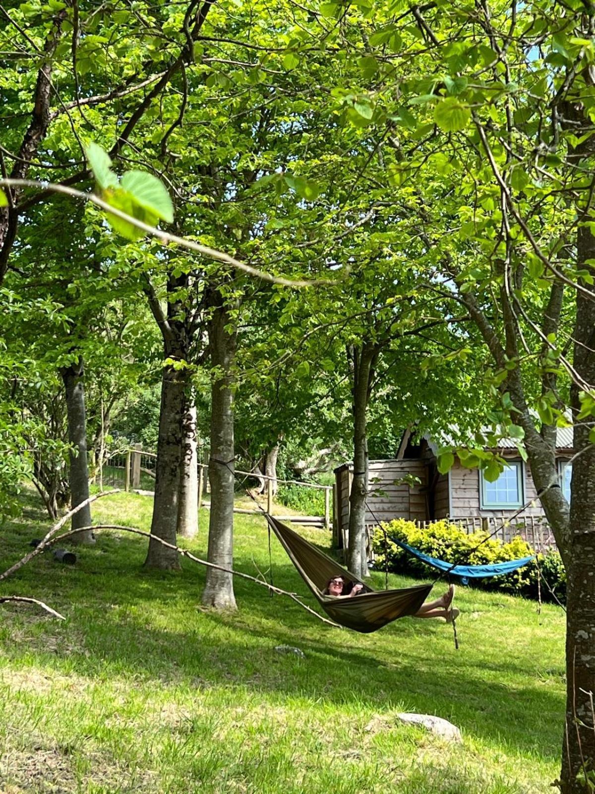Cottage Orne Long Bredy Exteriör bild